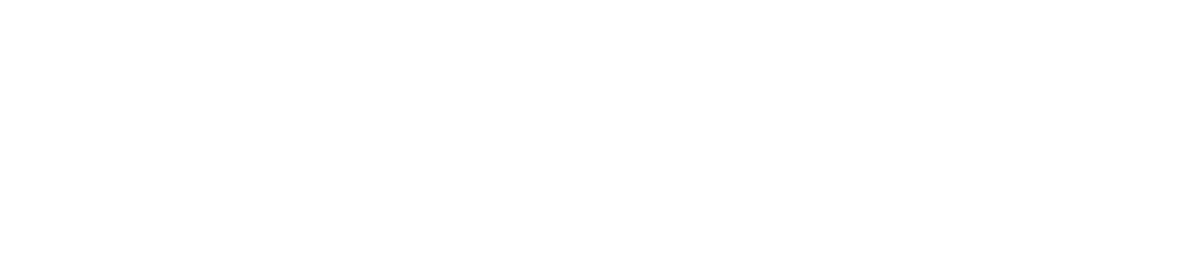 Project Logo